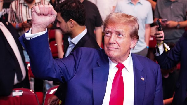 Article thumbnail: NEWARK, NEW JERSEY - JUNE 01: Former President of the United States of America, Donald Trump, is seen in attendance during the UFC 302 event at Prudential Center on June 01, 2024 in Newark, New Jersey. (Photo by Jeff Bottari/Zuffa LLC via Getty Images)