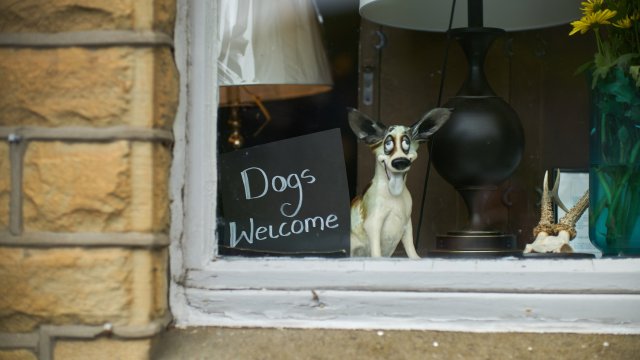 Article thumbnail: Window with 'Dogs Allowed' sign next to a pottery dog